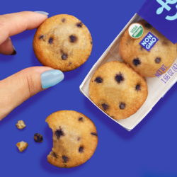 Blueberry Mini Muffins - 6 Pack