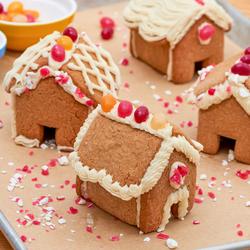 Ultimate Mini Gingerbread House Cookie Kit - LG Tasty Cookie Club