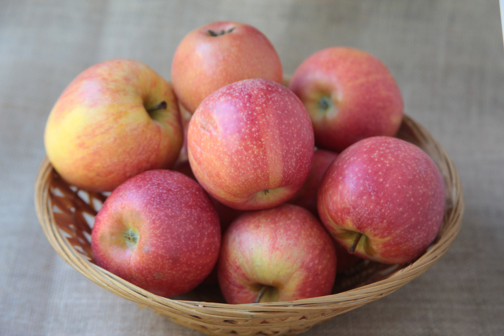 Basket of Apples
