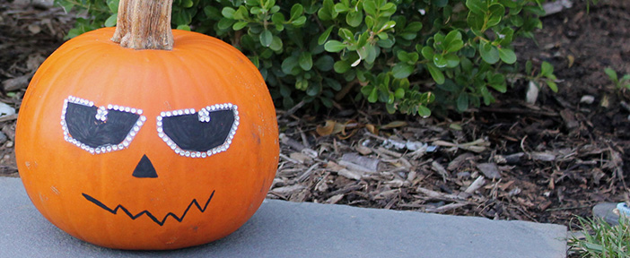 Foodstirs No Carve Sparkle Pumpkin
